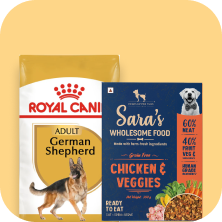All Dog Food