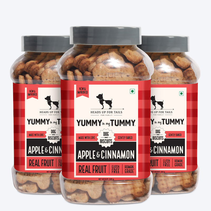 HUFT Yummy In My Tummy Apple & Cinnamon Vegetarian Gluten Free Dog Biscuit - Heads Up For Tails