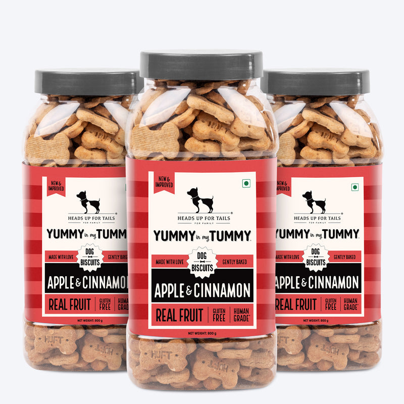 HUFT Yummy In My Tummy Apple & Cinnamon Vegetarian Gluten Free Dog Biscuit - Heads Up For Tails