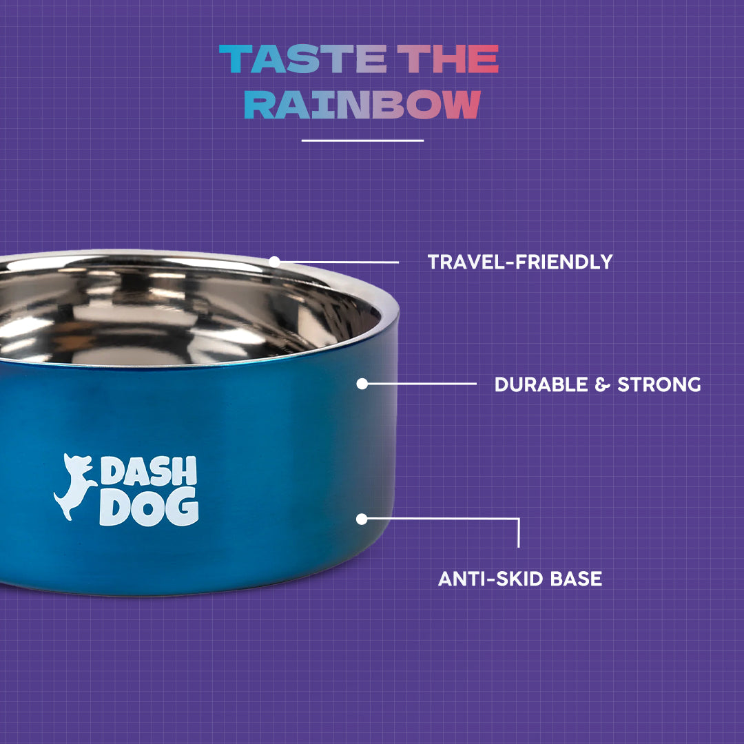 Dash Dog Rainbow Dog Bowl - Heads Up For Tails