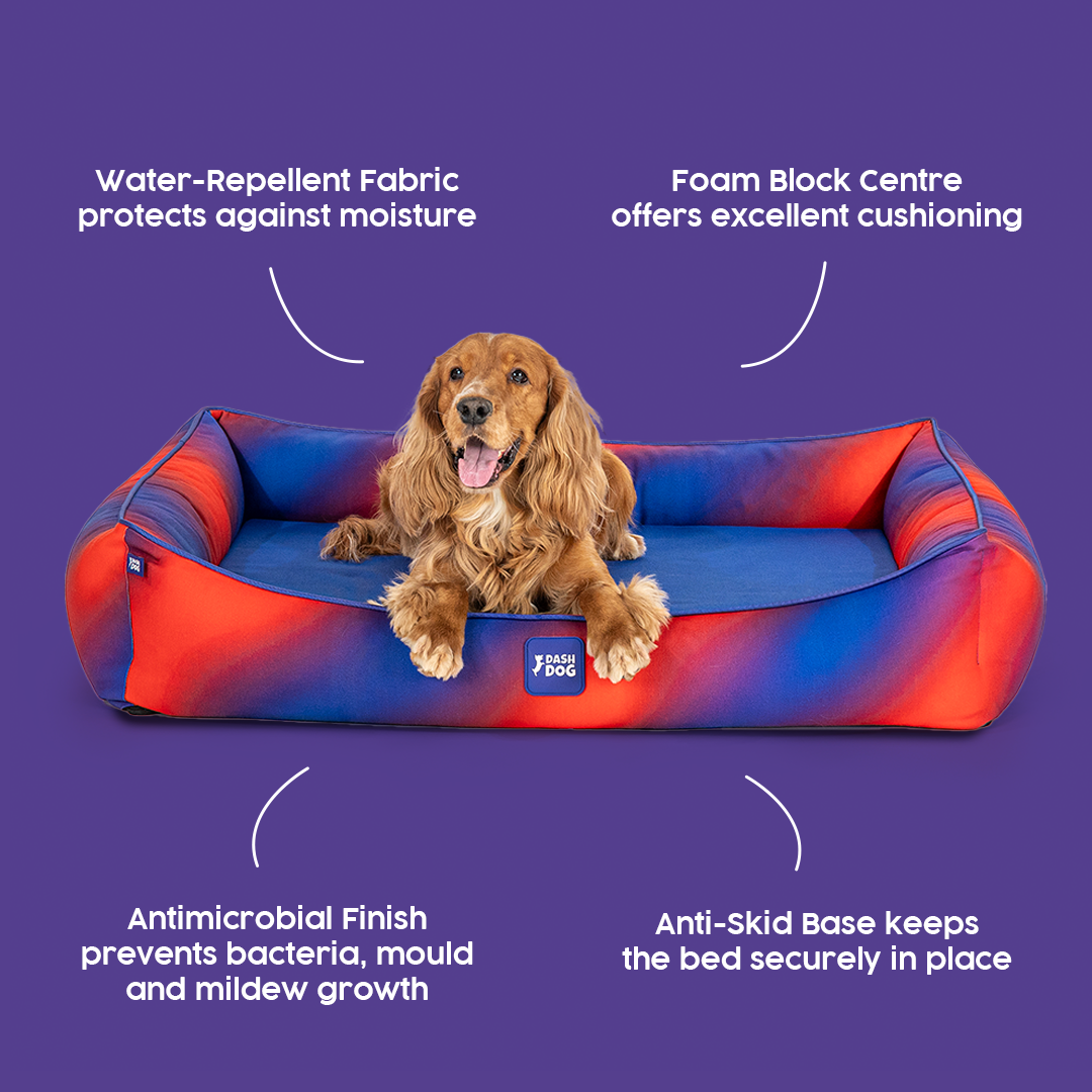 Dash Dog Flow Water Repellent Lounger Dog Bed - Blue & Red