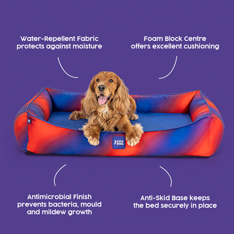 Dash Dog Flow Water Repellent Lounger Dog Bed - Blue & Red - Heads Up For Tails