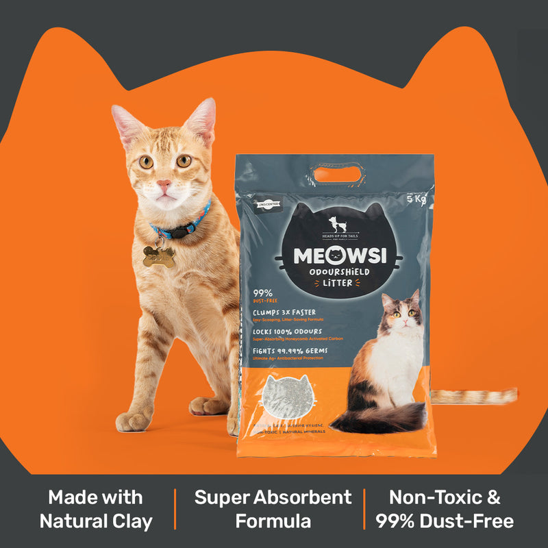 Meowsi by HUFT OdourShield Cat Litter, unscented, 5 kg, 99% dust-free, clumps 3x faster, antibacterial protection.