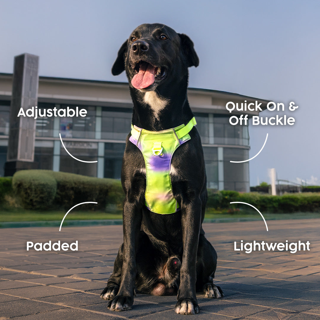 Dash Dog Neon Fusion Outdoor Ease Harness For Dog - Neon Green