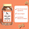 HUFT YIMT Pumpkin & Carrots Vegetarian Dog Biscuits - Heads Up For Tails