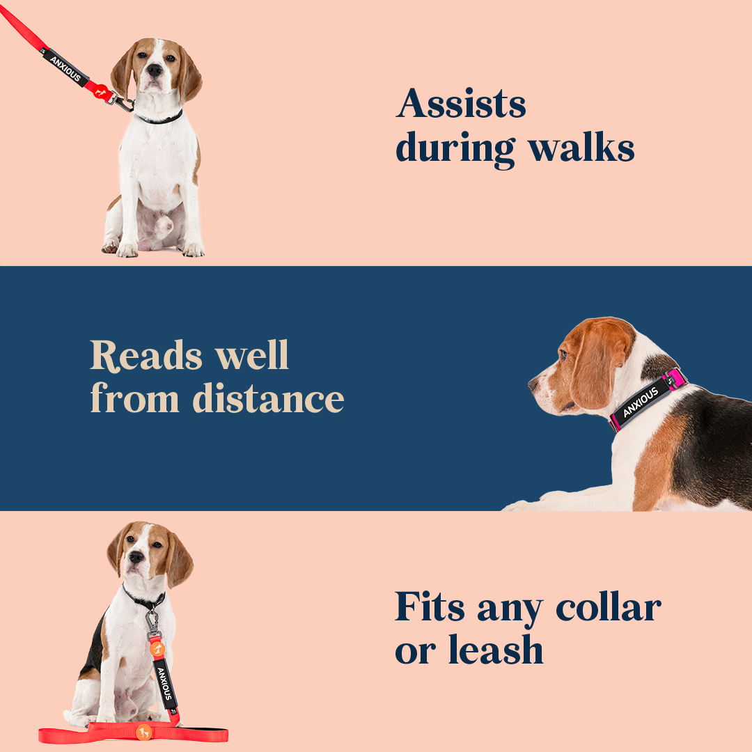HUFT Trooper Walking Aid Leash & Collar Insert (Anxious) - Heads Up For Tails