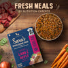 Sara's Wholesome Grain-Free Lamb and Apple Dog Food, 300 g, made with 50% meat and 50% fruit and vegetables.
