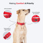 HUFT Comfort Plus Collar For Dog - Red