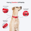 HUFT Comfort Plus Collar For Dog - Red - Heads Up For Tails