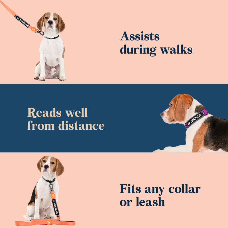 HUFT Trooper Walking Aid Leash & Collar Insert (In Training) - Heads Up For Tails