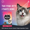 Meowsi Crunchies 4-in-1 Party Pack - Assorted Cat Treats - 35 g
