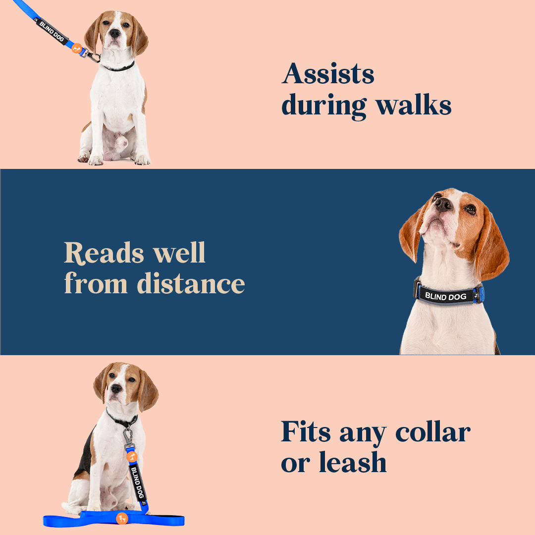 HUFT Trooper Walking Aid Leash Collar Insert Blind Dog Heads