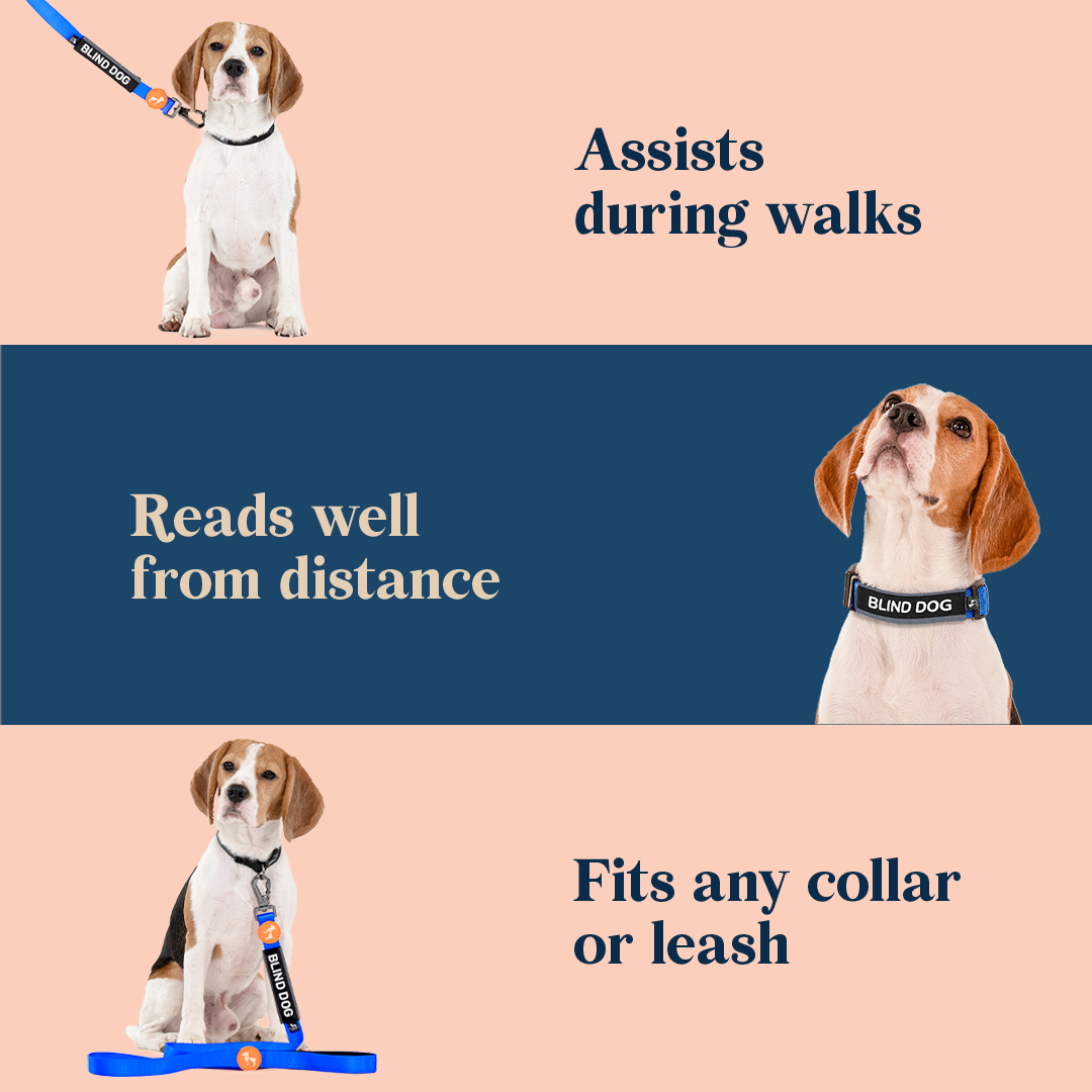 HUFT Trooper Walking Aid Leash & Collar Insert (Blind Dog) - Heads Up For Tails