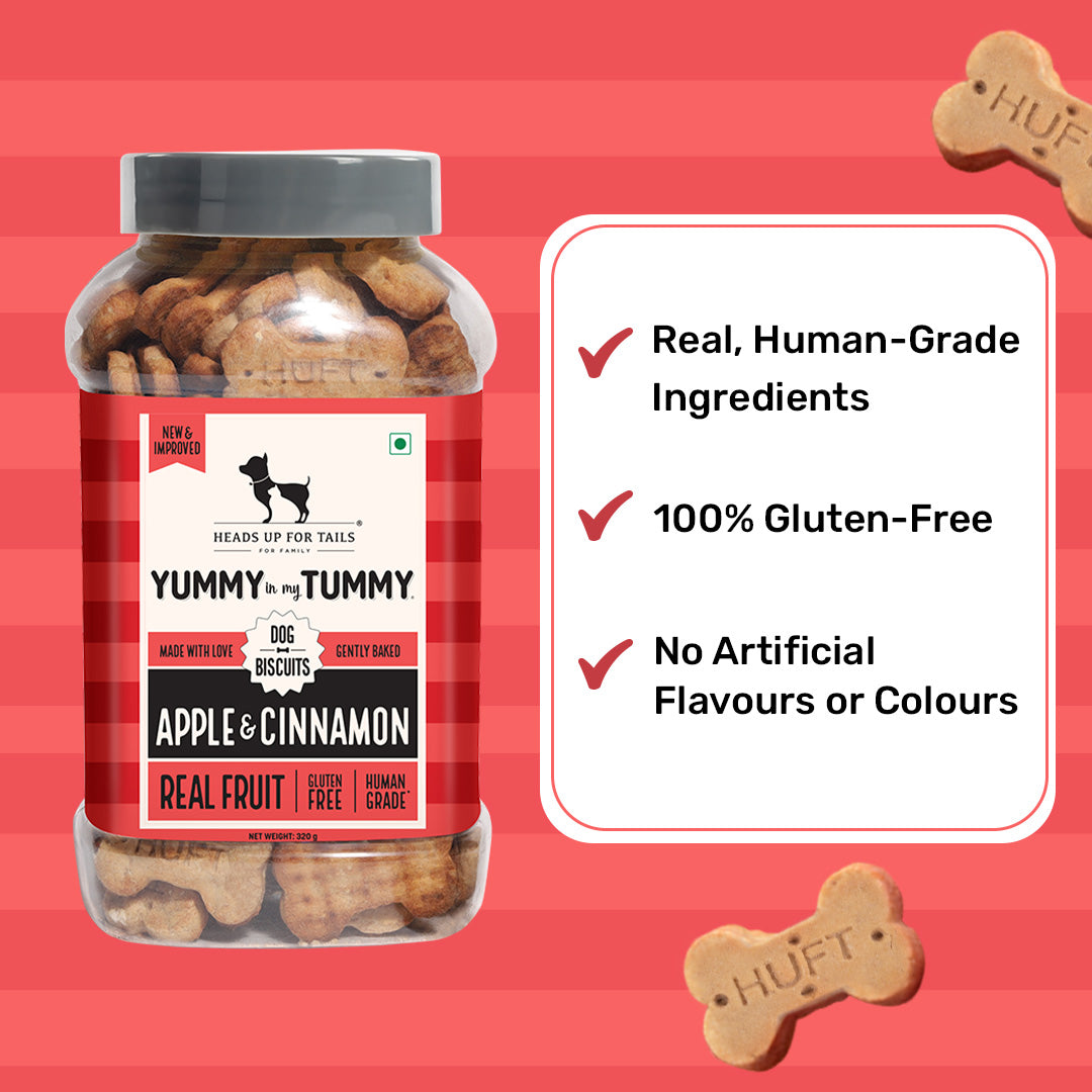 HUFT Yummy In My Tummy Apple & Cinnamon Vegetarian Gluten Free Dog Biscuit - Heads Up For Tails