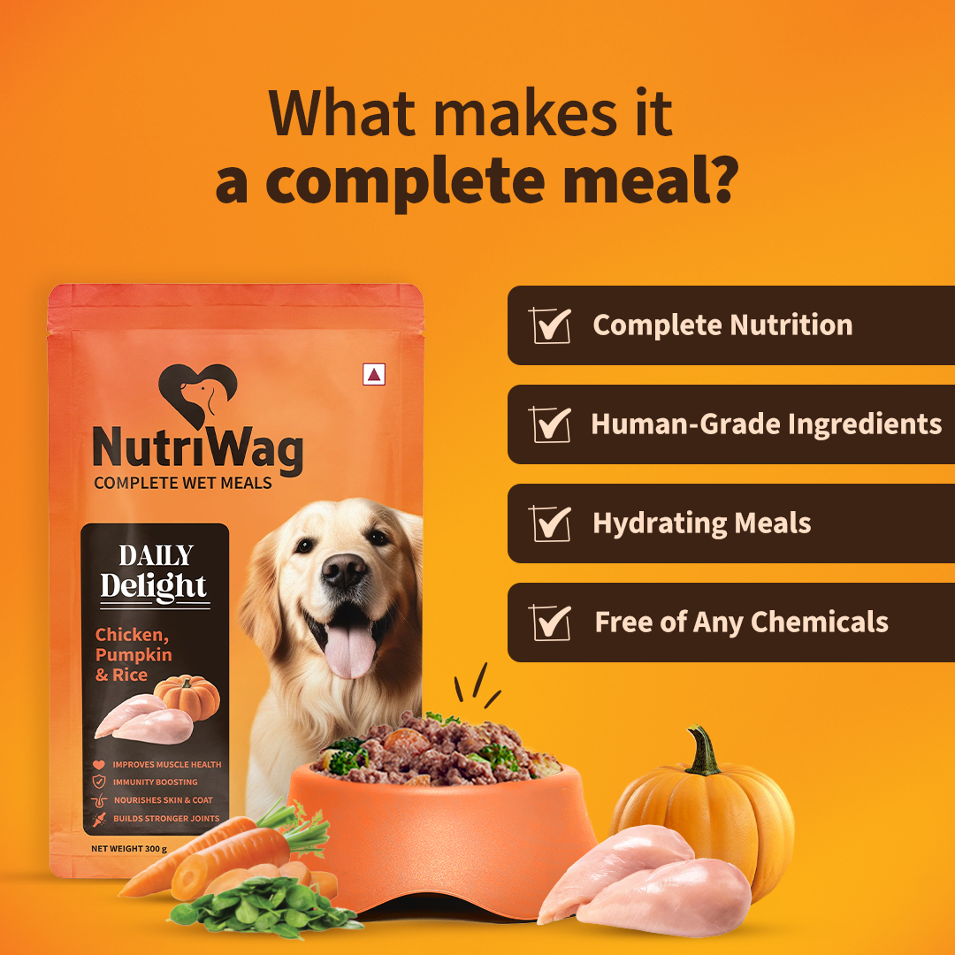 NutriWag Balanced Meals With Chicken, Rice & Pumpkin For Dog - 300g