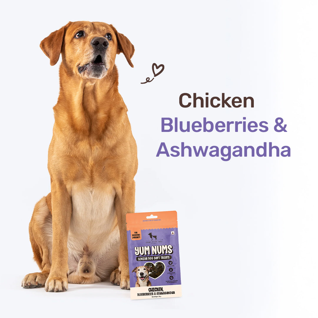 HUFT Yum Nums Chicken, Blueberries & Ashwagandha Soft Treat For Senior Dog - 70 gm