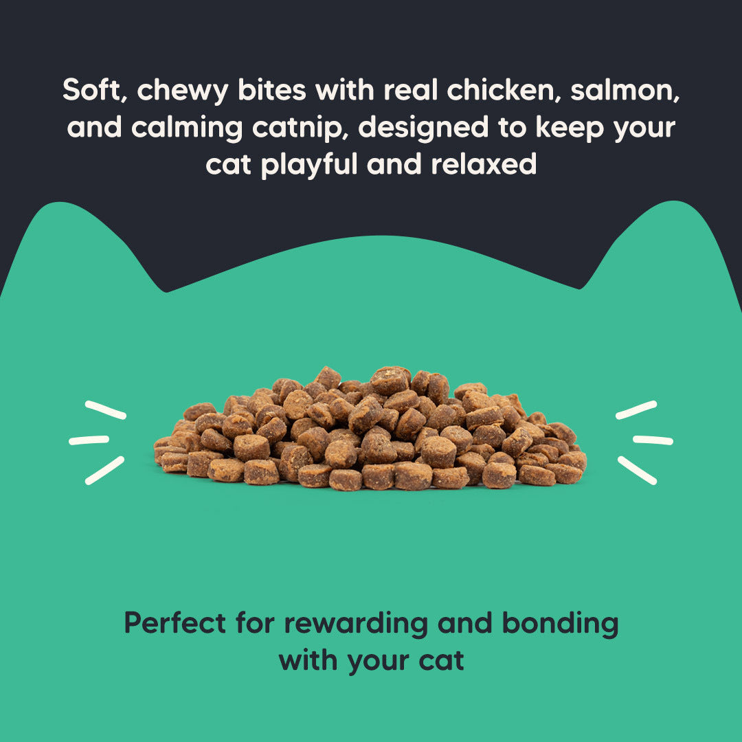 Meowsi by HUFT Catnip with Salmon & Chicken Soft Treats, 50 gm, features a green packaging with a cat graphic.