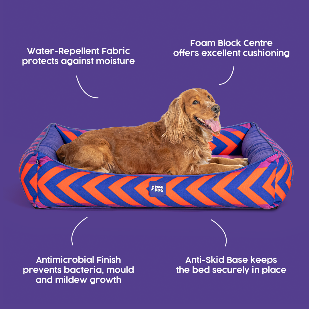 Dash Dog Chevron Water Repellent Lounger Dog Bed - Purple & Orange - Heads Up For Tails