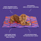 Dash Dog Zig Zaggers Water Repellent Portable Mat For Dog - Orange & Purple