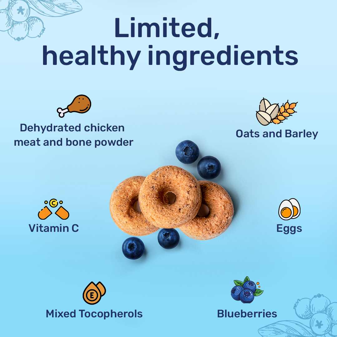 HUFT Berry Bites - Chicken & Blueberry Treats For Dogs - 140 gm - Heads Up For Tails