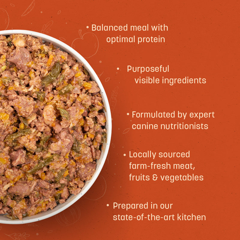Sara's Wholesome Grain-Free Chicken & Veggies Dog Food, 300 gm, made with 60% meat and 40% fruits and veggies.