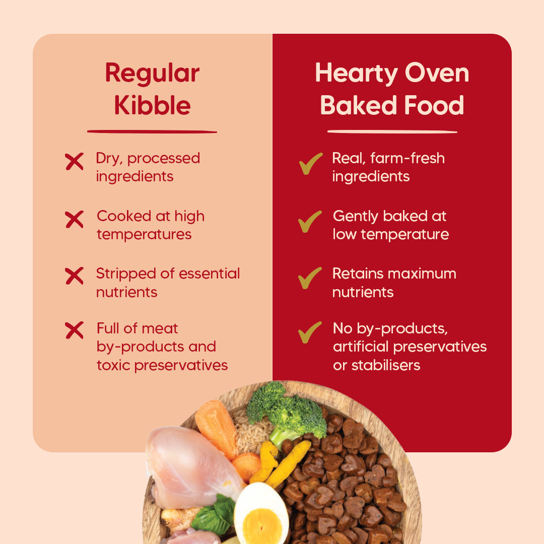 Hearty Chicken, Duck & Pumpkin Oven-Baked Dry Food For Adult Dog - All Breeds