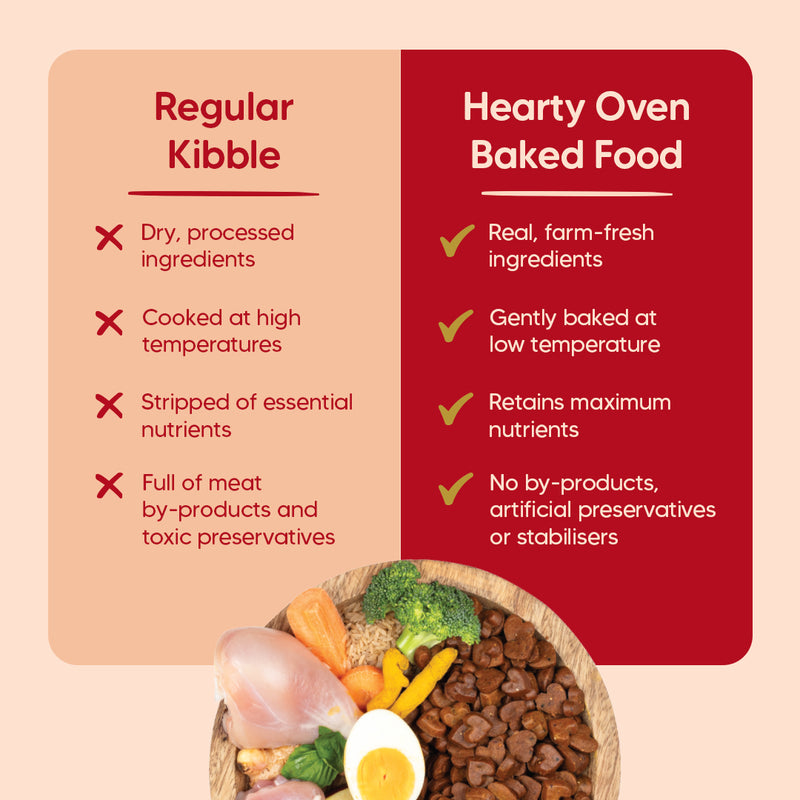 Hearty Oven-Baked Adult Dog Food – Chicken, Duck & Pumpkin, 250g, suitable for all breeds.