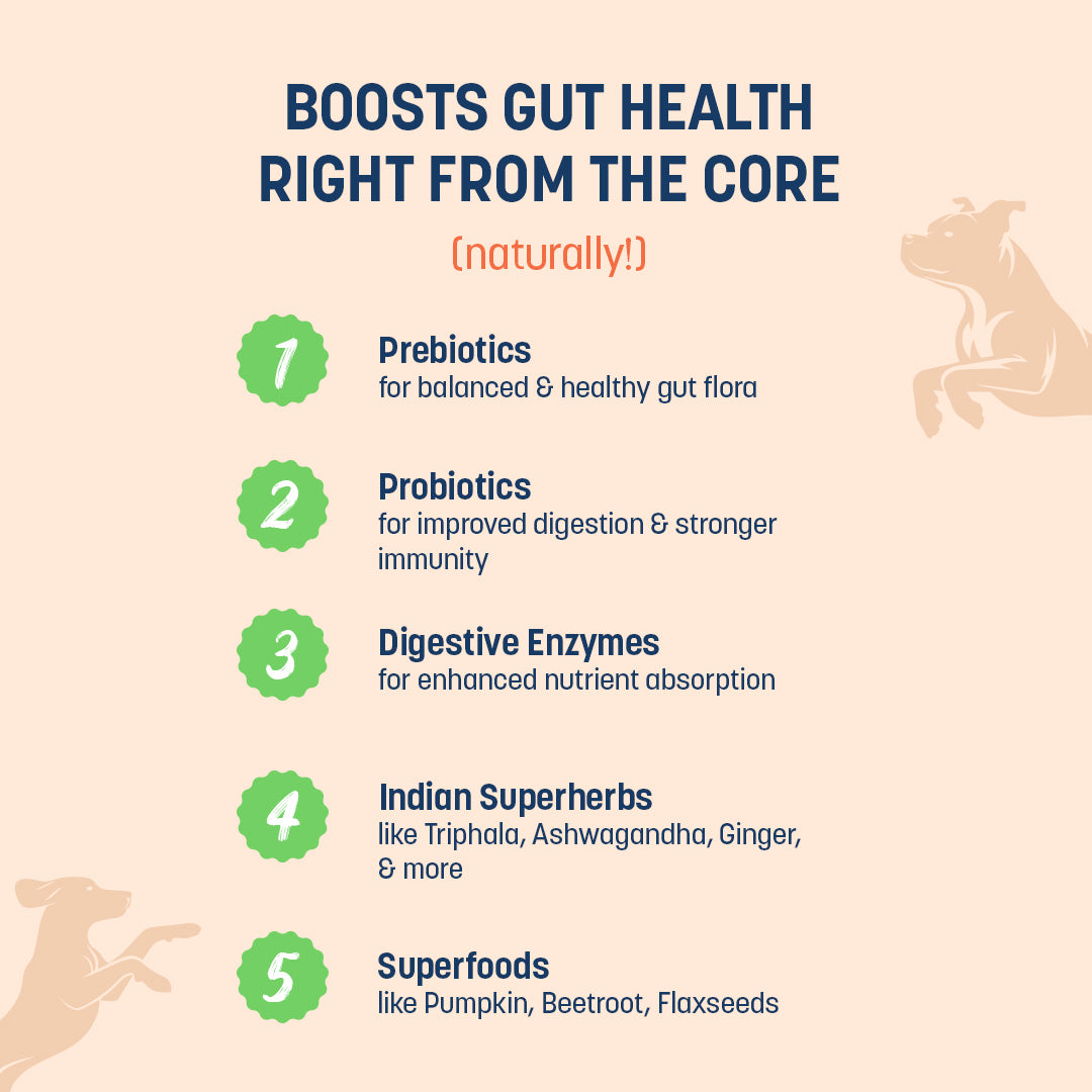 Sara's Boosters Gut & Digestive Health Supplement for Dogs, 200 gm, a blend of prebiotics and probiotics with enzymes.