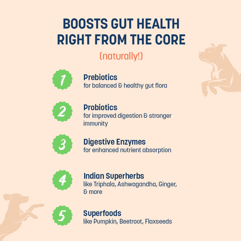 Sara's Boosters Gut & Digestive Health Supplement for Dogs, 200 gm, a blend of prebiotics and probiotics with enzymes.