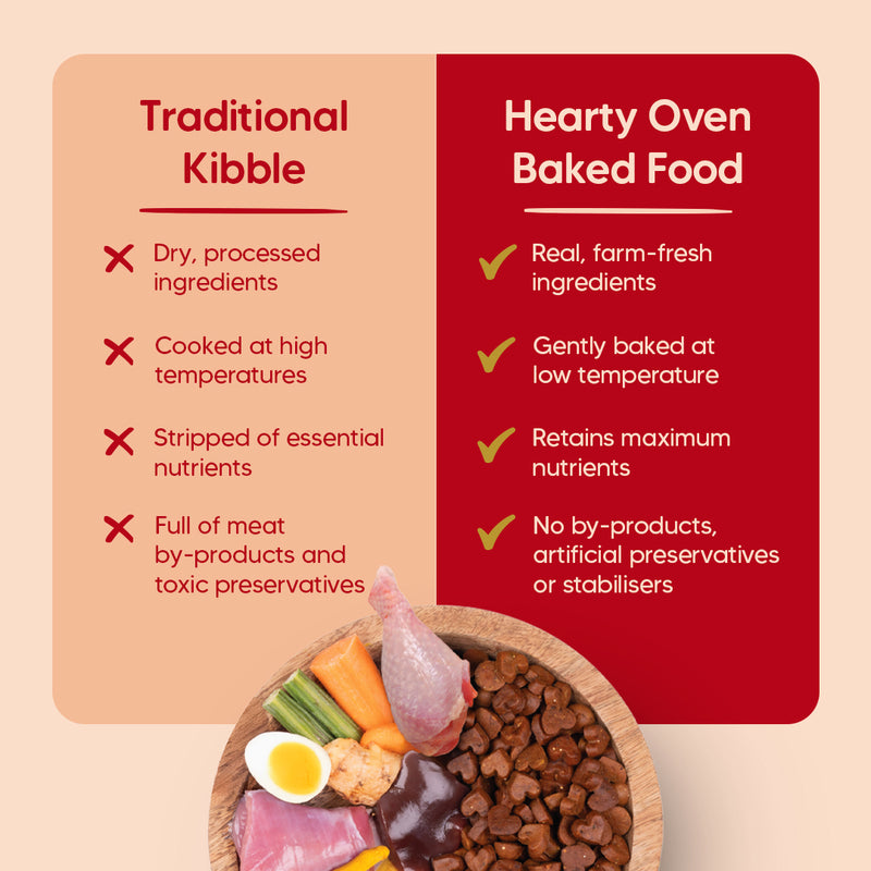 Hearty Turkey, Fish & Chicken Grain-Free Oven-Baked Dog Food, 2 kg, suitable for all breeds, by Heads Up for Tails.