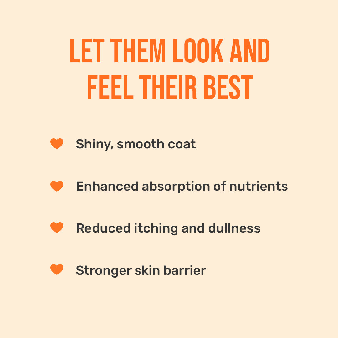 HUFT Skin & Coat Stack Combo - Heads Up For Tails