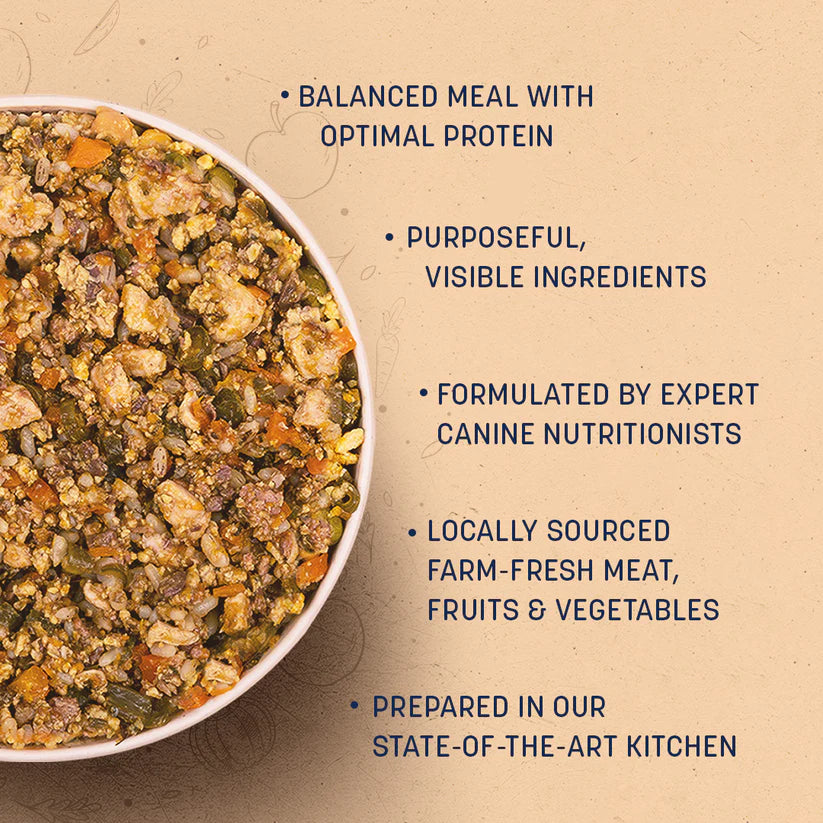 HUFT Food & Essential Dog Combo - Heads Up For Tails