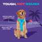 Dash Dog Zoom Walk Along Harness - Aqua Blue & Lavender - Heads Up For Tails