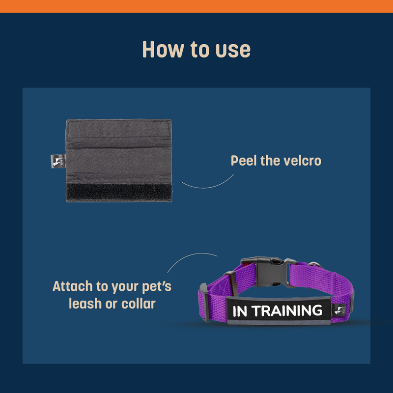 HUFT Trooper Walking Aid Leash & Collar Insert (In Training) - Heads Up For Tails