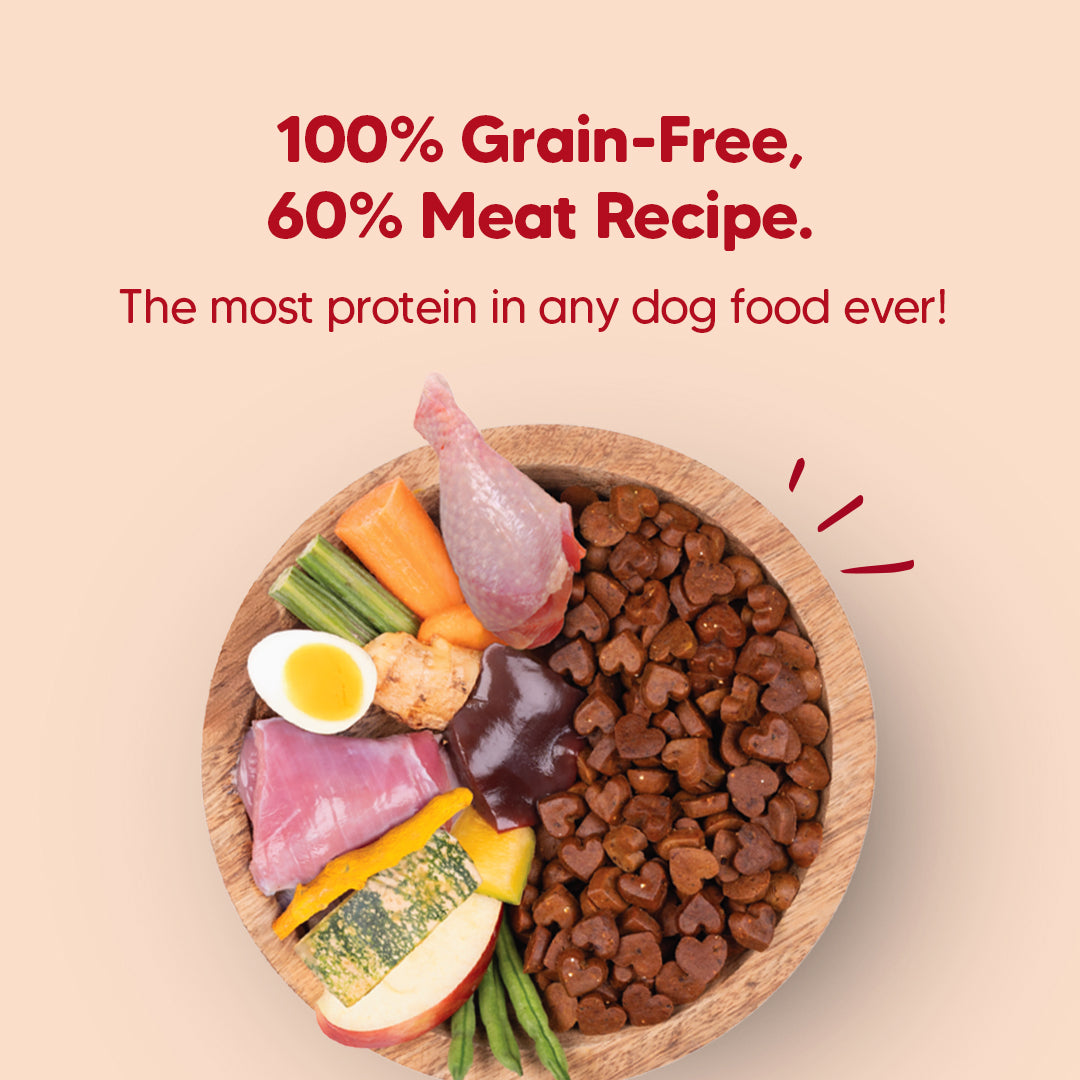 Hearty Turkey, Fish & Chicken Grain-Free Oven-Baked Dog Food, 2 kg, suitable for all breeds, by Heads Up for Tails.