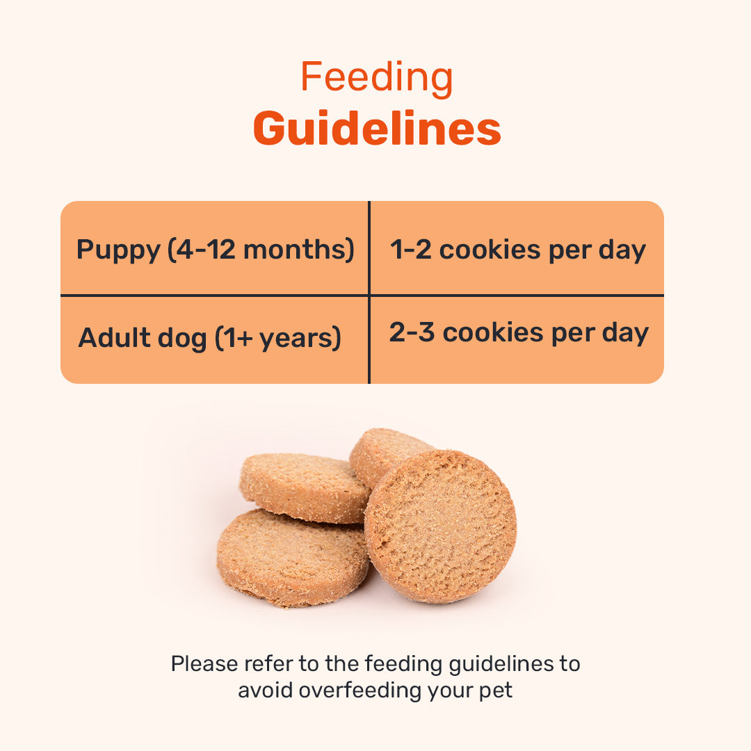 HUFT YIMT Chai Time Special Coconut Cabana Dog Biscuits, 200 gm, with feeding guidelines for puppies and adult dogs