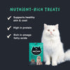Meowsi by HUFT Catnip with Salmon & Chicken Soft Treats, 50 gm, features a green packaging with a cat graphic.