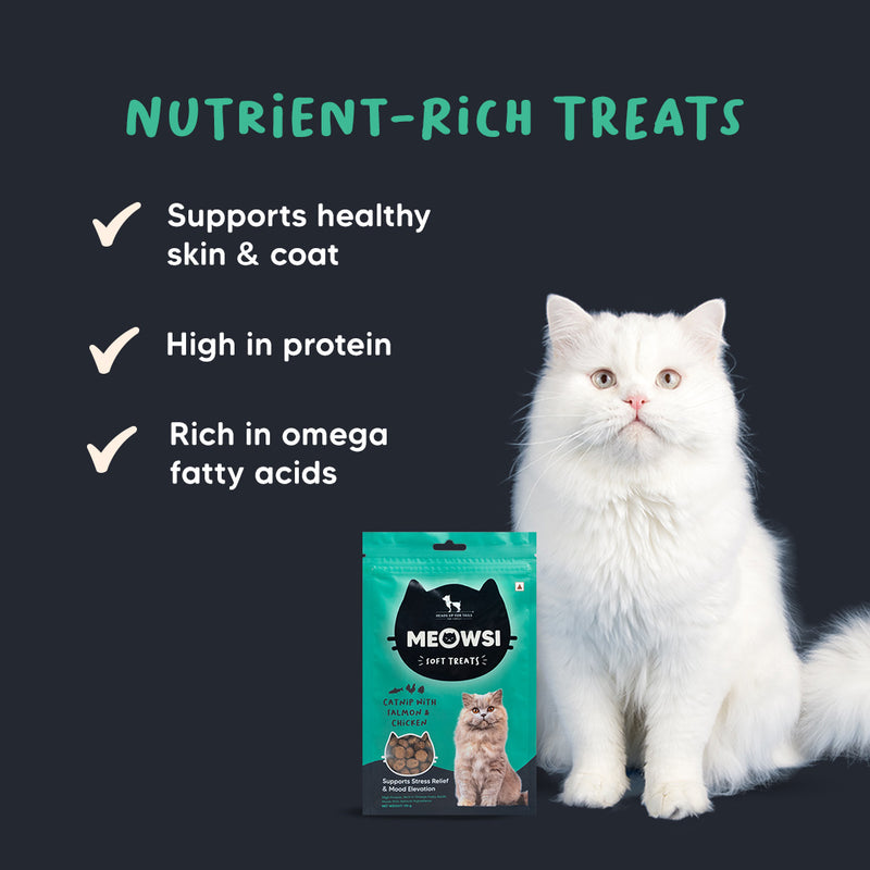 Meowsi by HUFT Catnip with Salmon & Chicken Soft Treats, 50 gm, features a green packaging with a cat graphic.