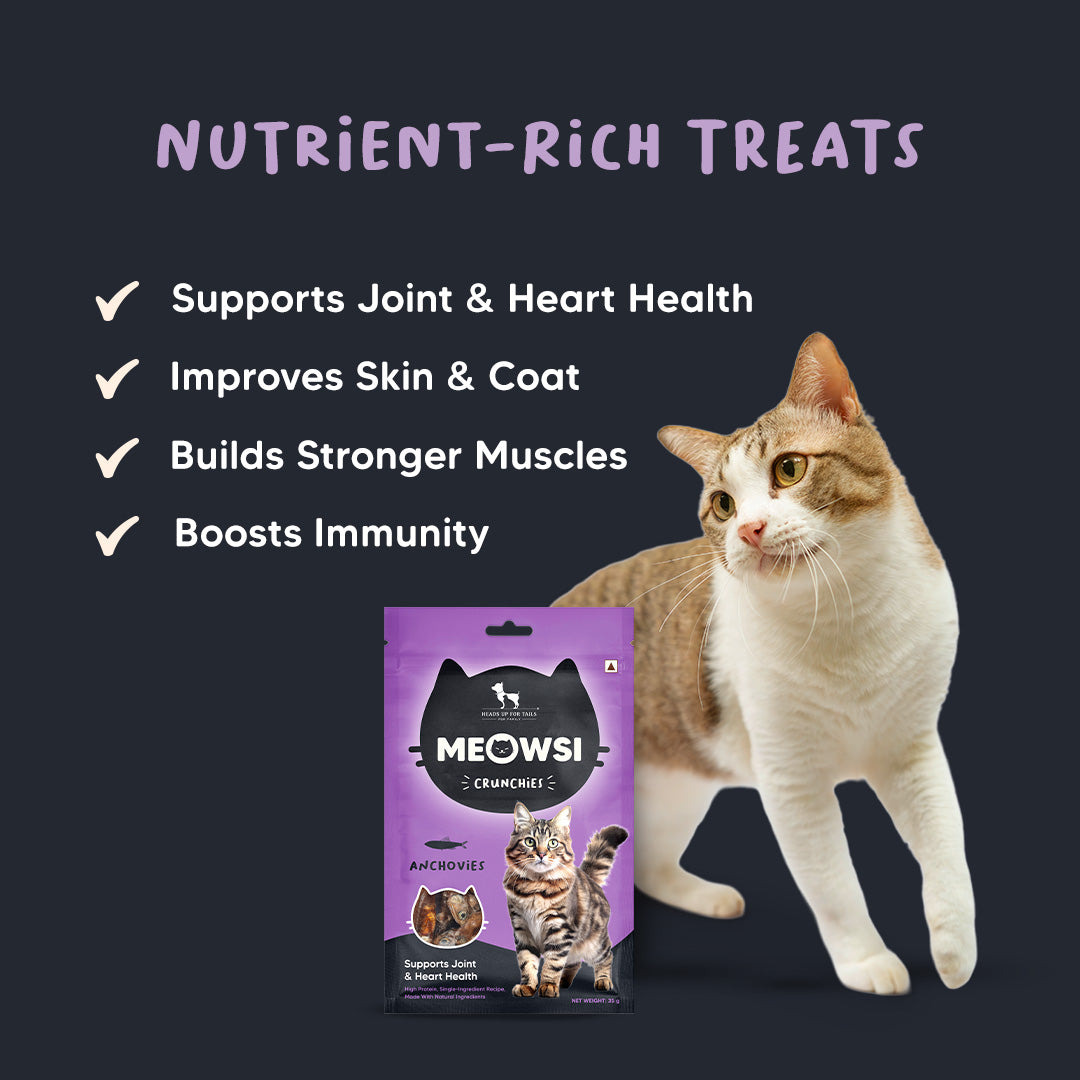 Meowsi by HUFT Dehydrated Anchovies Crunchies Cat Treats - 35 g - Heads Up For Tails