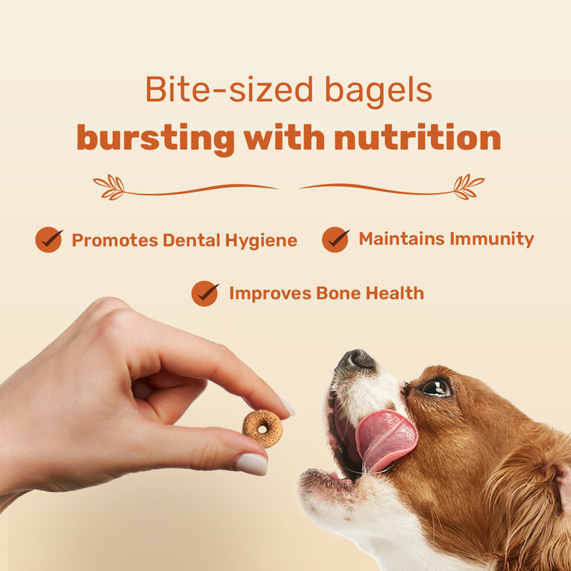 HUFT Bagel Bites Made With Real Chicken & Cheese Treat For Dog - 140 gm - Heads Up For Tails
