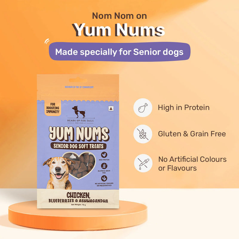 HUFT Yum Nums Senior Dog Treats Soft & Chewy Sticks Blueberries & Ashwagandha With Chicken - 70 gm - Heads Up For Tails