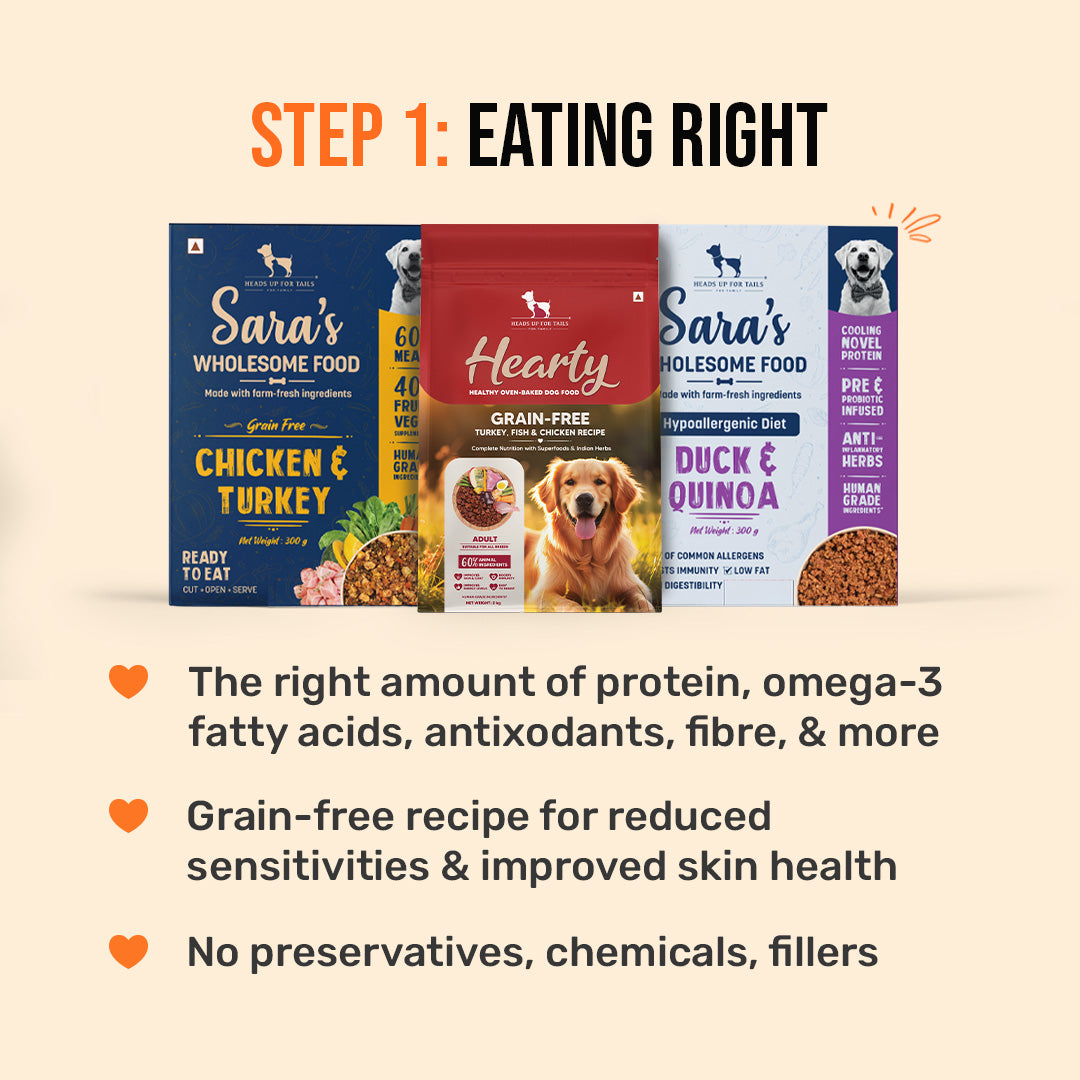 HUFT Skin & Coat Stack Combo - Heads Up For Tails