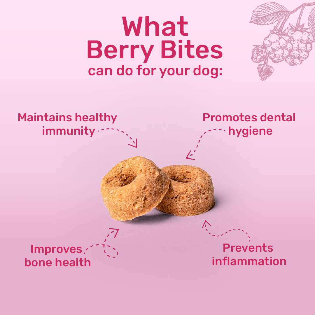 HUFT Berry Bites Made With Real Chicken & Raspberries Treat For Dogs - 140 g - Heads Up For Tails