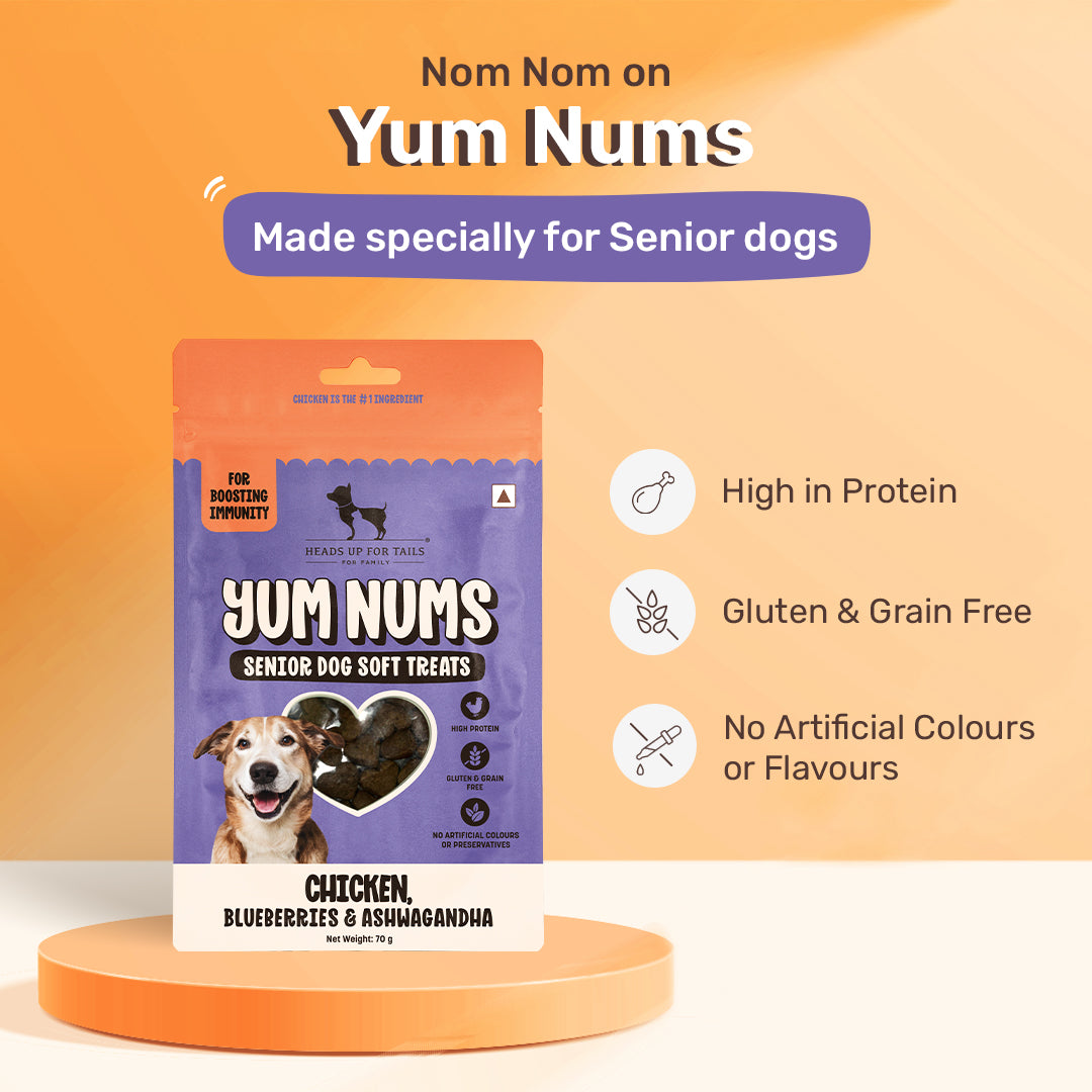 HUFT Yum Nums Chicken, Blueberries & Ashwagandha Soft Treat For Senior Dog - 70 gm