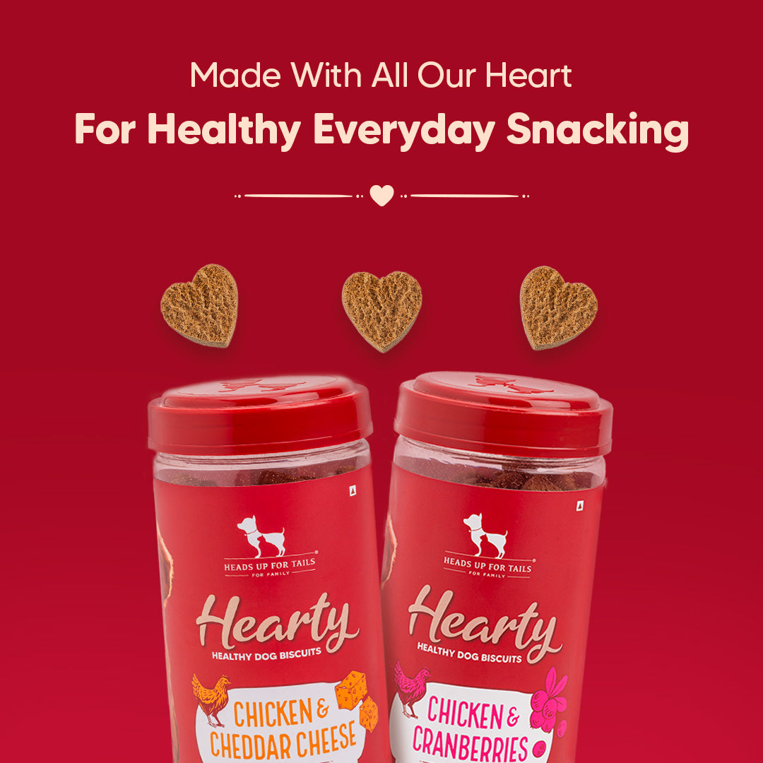 Hearty Chicken & Cranberries Healthy Dog Biscuits by Heads Up For Tails, 320 g, protein-rich and grain-free.