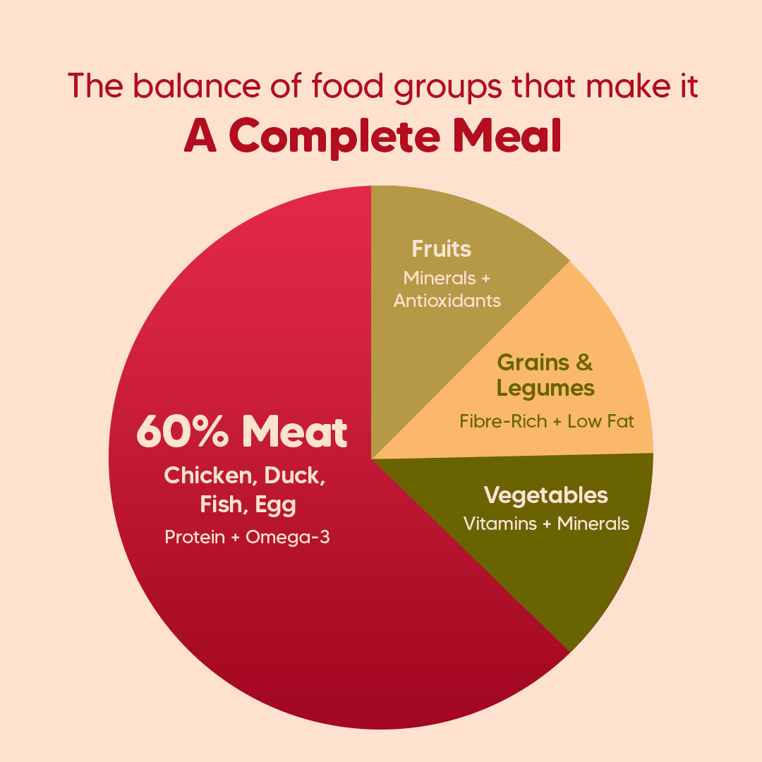 Hearty Chicken, Duck & Pumpkin Oven-Baked Dry Food For Adult Dog - All Breeds