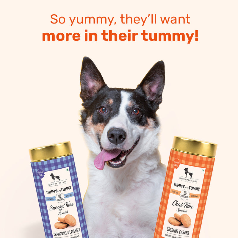 HUFT YIMT Chai Time Special Coconut Cabana Dog Biscuits, 200 gm, with a happy dog enjoying the treats