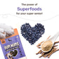 HUFT Yum Nums Chicken, Blueberries & Ashwagandha Soft Treat For Senior Dog - 70 gm