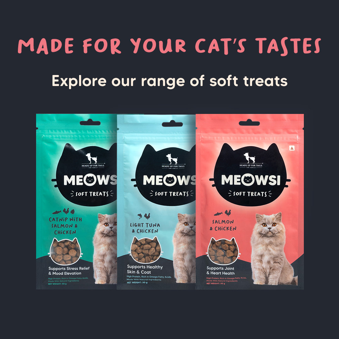 Meowsi by HUFT Salmon & Chicken Soft Cat Treats, 50 gm, features a pink packaging with a cat graphic and treats displayed.