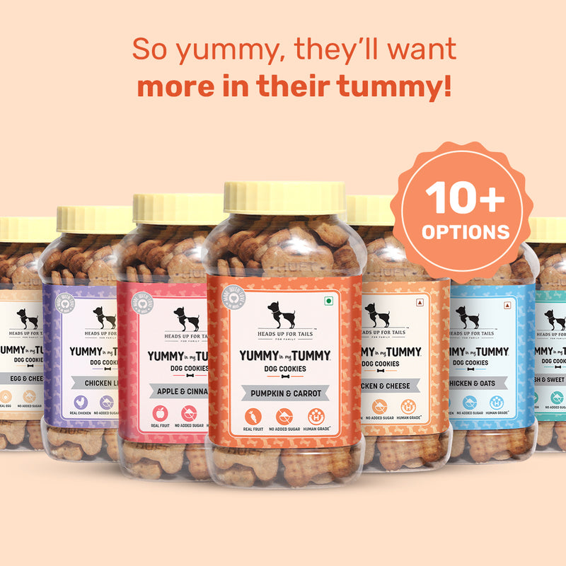 HUFT YIMT Pumpkin & Carrots Vegetarian Dog Biscuits - Heads Up For Tails